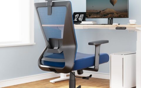 超低价！Dripex Ergonomic 高靠背人体工学办公椅/电脑椅特卖+包邮！扶手可调，带头枕腰部支撑！