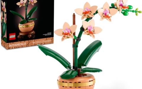 历史低价！LEGO 乐高 10343 花植系列 迷你典雅兰特卖！274块