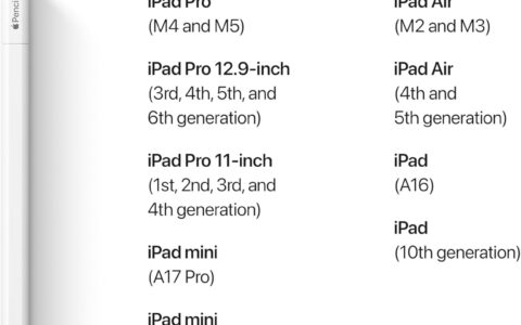 Apple Pencil 苹果 手写笔特卖+包邮！USB-C