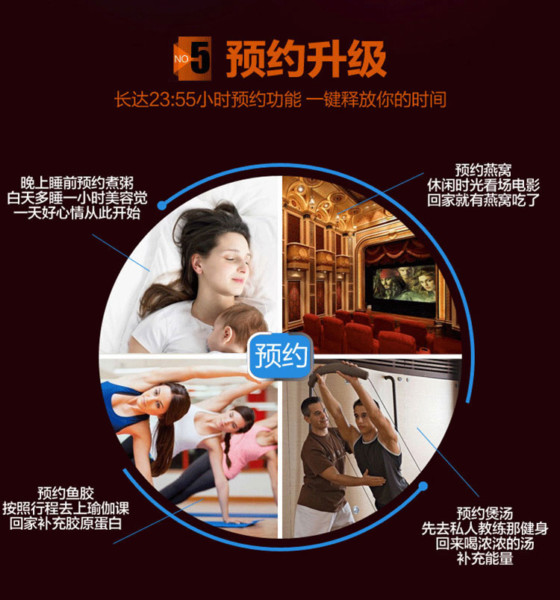 SONYA 微电脑隔水不锈钢内锅电炖锅 SDZ-32EG