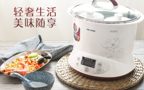 养身必备！天际 TONZE 全自动陶瓷内胆 隔水电炖锅特卖+包邮！1锅3胆