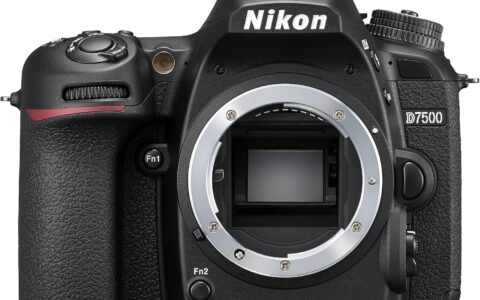 历史低价！Nikon 尼康 33719 黑色 D7500 DX-Series 数码相机机身特卖+包邮！