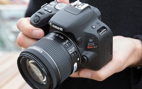 Image result for Canon EOS Rebel SL2 DSLR Camera
