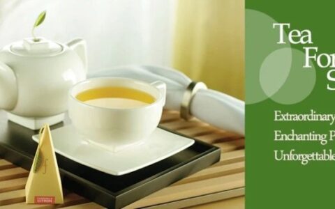 手慢无！美国顶级茶品 Tea Forte 茶包及茶杯一天闪卖！