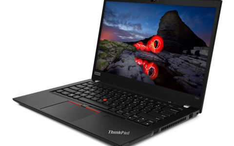 T490 (14")