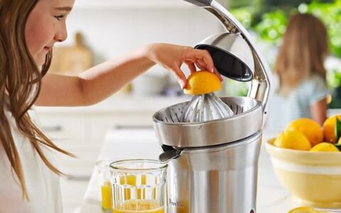 Breville 铂富800CPXL专业不锈钢榨橙汁机特卖+包邮！比一般榨汁机多榨30%果汁