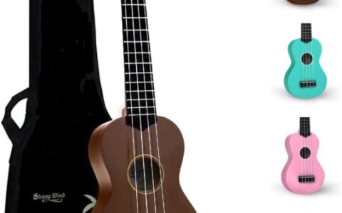 Strong Wind Soprano 21寸 Ukulele 乌克丽丽/尤克里里 夏威夷小吉他特价+包邮！