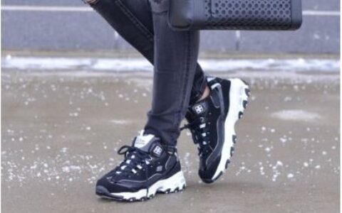 Skechers D'Lites  Interlude  女士熊猫鞋 特卖+包邮！