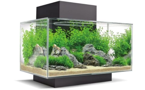 新低！Fluval Edge 23升水族箱/鱼缸套装特卖！扩展水族造景的无限可能