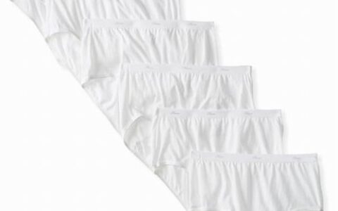 Hanes 女士纯棉内裤 6件套 12.97加元
