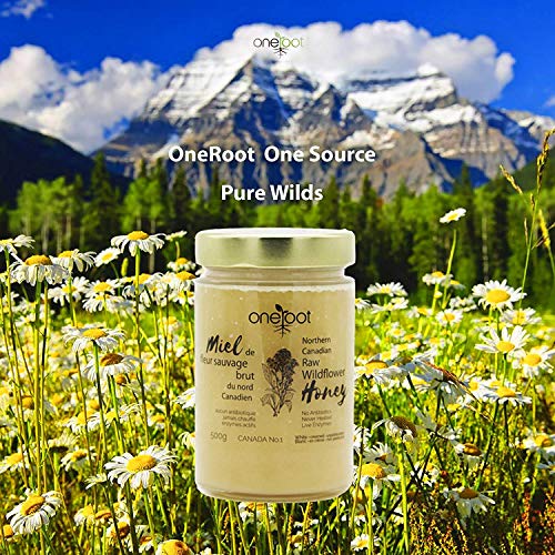 Oneroot Canadian Raw Wildflower Honey (5- Buy Online in Fiji at Desertcart