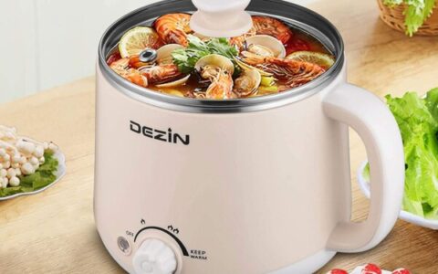 火锅炖煮小神器！DEZIN 1.6升多功能电煮锅/电火锅/电炖锅特卖！