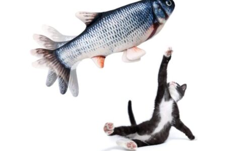 白菜价！猫咪最爱仿真鱼电动玩具特卖 ! usb充电, 自动摇尾巴, 内含猫草 ! 可手洗 !