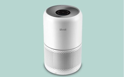 LEVOIT 多款空气净化器特卖+包邮！