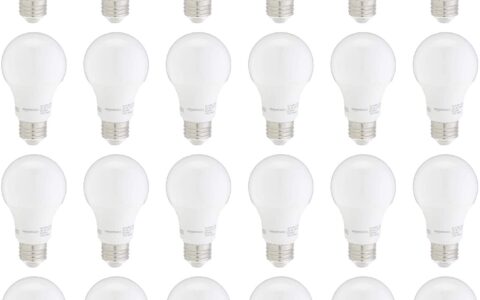 超实惠！AmazonBasics  60瓦等效  软白色 LED灯泡（24个）特卖！