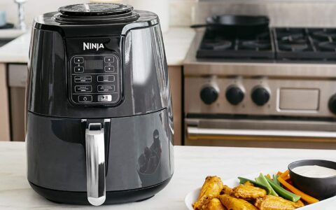 Ninja  AF101C 3.8升可编程健康无油空气炸锅特卖+包邮！