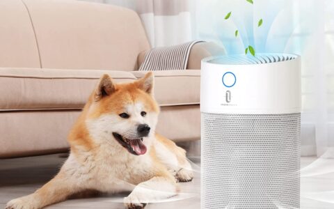 史低！TaoTronics 空气净化器特卖+包邮！H13 真正 HEPA，99.97%有效过滤
