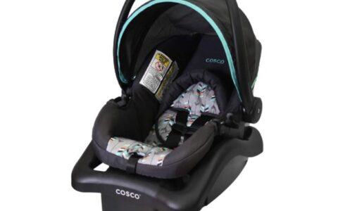 Cosco Light N Comfy 超轻婴儿提篮/汽车座椅特卖+包邮！