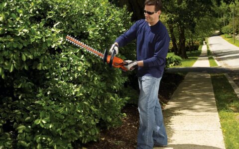 历史低价！BLACK+DECKER LHT2220 20V MAX 22英寸 双动刀片 无绳树篱笆修剪机特卖+包邮！