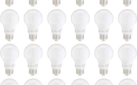 历史低价！Amazon Basics A19 60W等效 LED节能灯泡 24件套特卖！