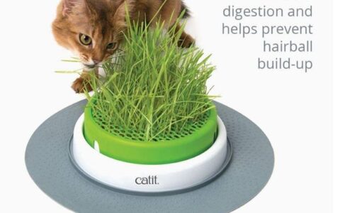 白菜价！Catit Senses 2.0 猫草种植盆特卖！让爱猫享用最天然的化毛产品，还可减压