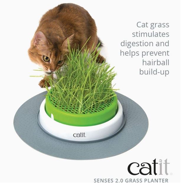 白菜价 Catit Senses 2 0 猫草种植盆特卖 让爱猫享用最天然的化毛产品 还可减压 A 加拿大天天打折网