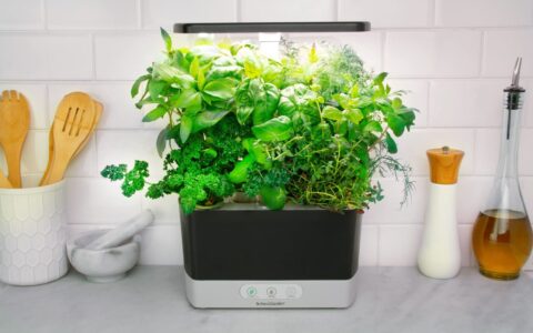 自己种蔬菜，超简单！  AeroGarden 室内蔬菜种植套装特卖+包邮！送种子！
