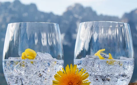 白菜价！奥地利300年水晶玻璃品牌 Riedel 水晶玻璃杯2件套特卖清仓！20盎司容量/每个