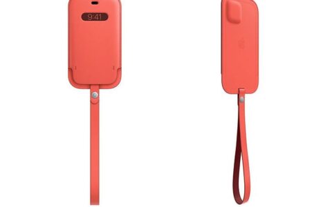 史低价！iPhone 12 Pro Max 专用苹果官方 MagSafe 皮革保护套特卖+包邮！