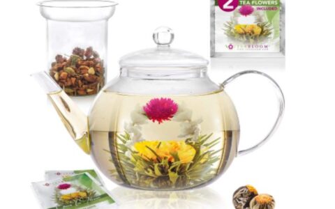 Teabloom 1.2 L 玻璃茶壶特卖+包邮！带滤茶器