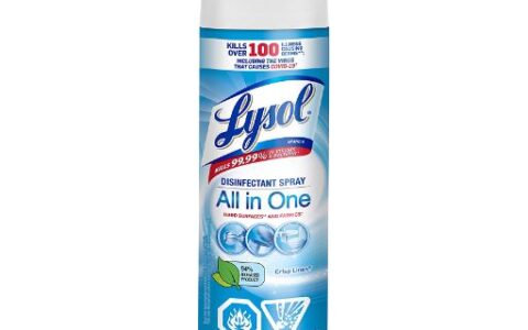 来苏尔 Lysol 消毒喷雾 539g 大包装特卖！杀死99.99%的病毒和细菌