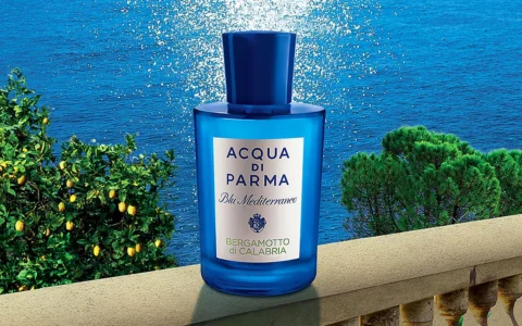 意大利帕尔马之水 Acqua di parma 蓝色地中海之 Bergamotto Di Calabria 女士淡香水 150 ml 特卖+包邮！