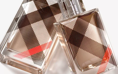 历史低价！Burberry Brit 博柏利英伦格调女士香水 100ml 特卖+包邮！
