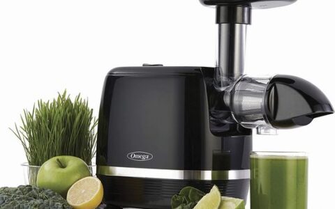 新低！Omega Juicer H3000R 低噪音多功能营养低速榨汁机特卖+包邮！