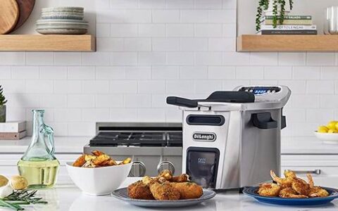 历史低价！会员特享！De'Longhi 4.5升双区数字不锈钢深炸锅特卖+包邮！