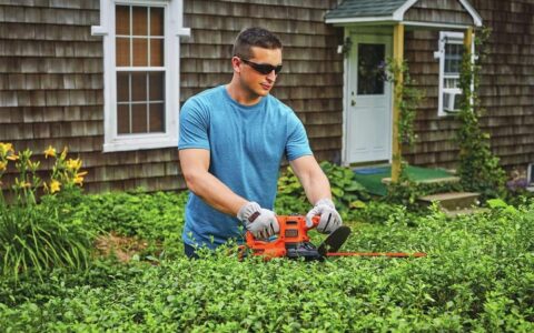 BLACK+DECKER  树篱笆电动修剪机特卖+包邮！16英寸/17英寸 可选！