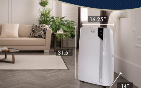 Delonghi 德龙 EX390LVYN 14,000 BTU  3合1 便携式空调特卖+包邮！冷却高达700平方英尺