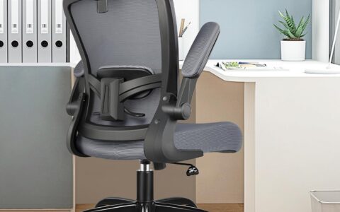 FelixKing Ergonomic 高靠背人体工学办公椅/电脑椅特卖+包邮！扶手可调，带头枕，多色可选！