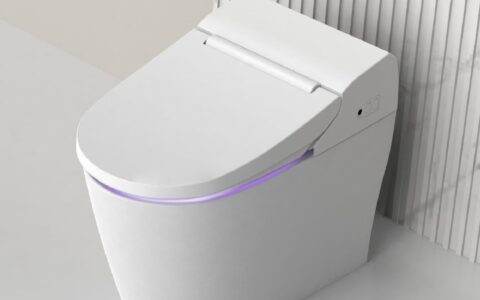 历史低价！VOVO STYLEMENT TCB-8100 自动双冲水 除臭 一体式豪华智能马桶特卖+包邮！加热座椅，LED灯，温水冲洗 暖风烘干！